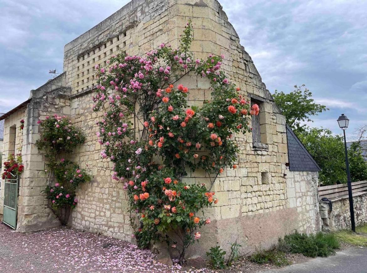 Le Coudray-MacouardLe Colombierアパートメント エクステリア 写真